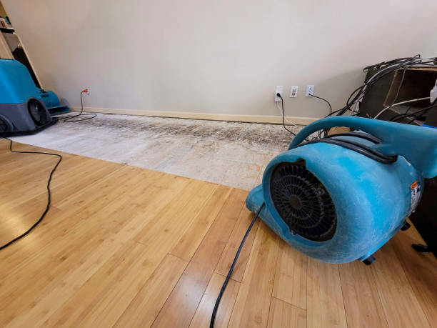 Professional Water Removal technician working in Murphy, TX
